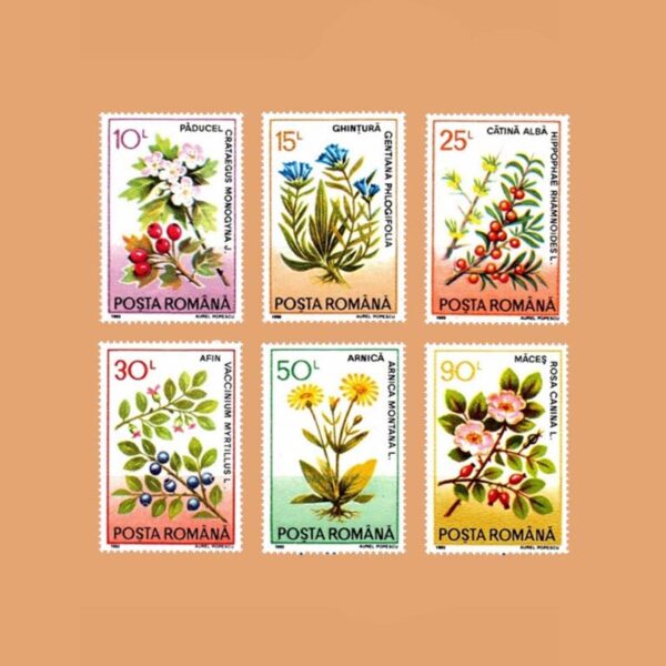 RO 4057/62. Serie Plantas Medicinales. 6 valores **1993